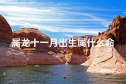 属龙十一月出生属什么命,属龙十一月出生命运揭秘：揭秘你的生肖运势