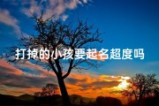 打掉的小孩要起名超度吗