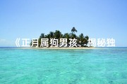《正月属狗男孩：揭秘独特命格魅力》