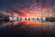 张姓小孩子起名大全