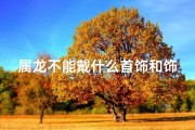 属龙不能戴什么首饰和饰品(属龙禁忌：这些首饰千万别戴)
