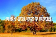 满级小孩乱取名字搞笑图片_满级小孩原视频