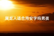 属龙人适合用安字吗男孩