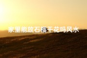 家里能放石榴干花吗风水;石榴干花摆家里，风水宜忌知多少