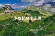 小孩起名字王晨
