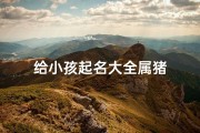 给小孩起名大全属猪