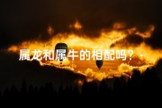 属龙和属牛的相配吗？-属龙属牛配对指数：高得惊人