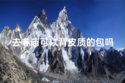 去寺庙可以背皮质的包吗(便携禅意，寺庙专用背包)
