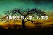 《揭秘生辰八字：八字称命的艺术与奥秘》