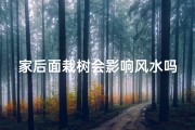 家后面栽树会影响风水吗(家后面种树好吗)