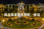 属马属龙能否相配：命运相融还是冲突？