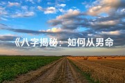 《八字揭秘：如何从男命八字看桃花运》