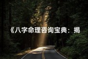 《八字命理咨询宝典：揭秘人生运势奥秘》