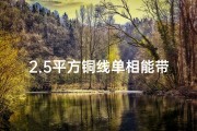 2.5平方铜线单相能带多少千瓦,寺庙祈福专用鲜花：心香一瓣祈平安