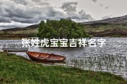 张姓虎宝宝吉祥名字