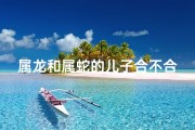 属龙和属蛇的儿子合不合