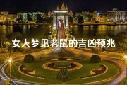 女人梦见老鼠的吉凶预兆、女人梦见老鼠预示着什么