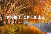 梦见枪了;《梦见枪击吉凶揭秘：周公解梦新视角》