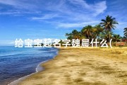 给宝宝起名字魏晨什么(带晨字的男孩名字)