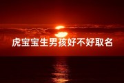 虎宝宝生男孩好不好取名