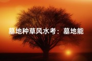 墓地种草风水考：墓地能否种草？