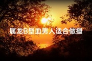 属龙B型血男人适合做摄影师吗,属龙b型血的性格特点