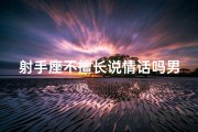射手座不擅长说情话吗男生会怎么样;《射手男：情话绝缘体，真心难表达》