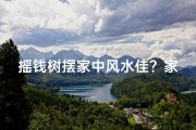 摇钱树摆家中风水佳？家居财运提升秘籍