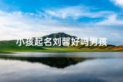 小孩起名刘馨好吗男孩
