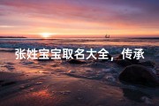 张姓宝宝取名大全，传承文化又彰显个性的命名指南