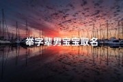 举字辈男宝宝取名