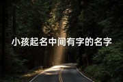 小孩起名中间有字的名字(《童趣盎然，字韵悠长：小孩名字中的文化韵味》)