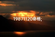 19871120命格;19871120命格：揭秘独特命运密码