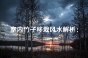 室内竹子移栽风水解析：宜不宜？