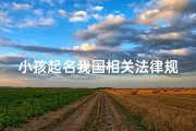 小孩起名我国相关法律规定是什么—《我国儿童命名法规解读：法律视角下的起名之道》