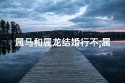属马和属龙结婚行不;属马和属龙结婚好不好