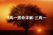 3两一男命详解-三两一男命八字解析：揭秘命运之谜