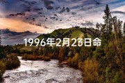 1996年2月23日命格—1996年2月23日阴历