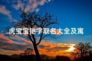 虎宝宝铠字取名大全及寓意-铠字取名好吗