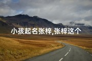 小孩起名张梓,张梓这个名字怎么样