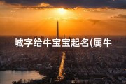 城字给牛宝宝起名(属牛婴儿起名好字,牛宝宝名字大全)