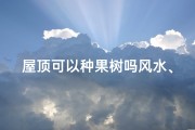 屋顶可以种果树吗风水、屋顶种果树风水考：宜忌解析