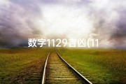 数字1129吉凶(11数字吉凶含义)
