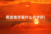 男孩维字辈什么名字好(维字男孩名字大全)