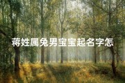 蒋姓属兔男宝宝起名字怎么起,蒋姓男宝宝名字大全