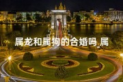 属龙和属狗的合婚吗_属龙与属犬：缘定三生，幸福相守