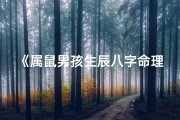 《属鼠男孩生辰八字命理揭秘》