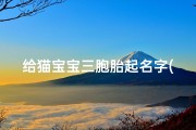 给猫宝宝三胞胎起名字(脑筋急转弯,答案很奇葩的那种,谢谢多一点)