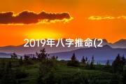 2019年八字推命(2019年八字称命有多少斤两)