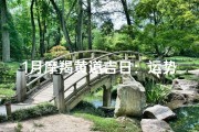 1月摩羯黄道吉日：运势飙升，好运连连指南